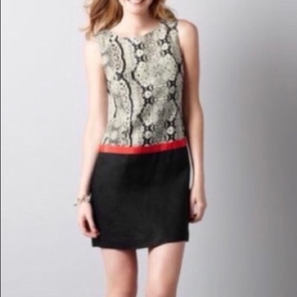 NWT Ann Taylor LOFT Dress